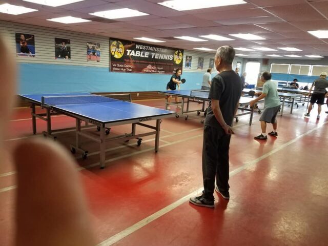 Table Tennis Là Thể Thao Trong Nhà: Giải Mã Đặc Điểm Và Lợi Ích Toàn Diện