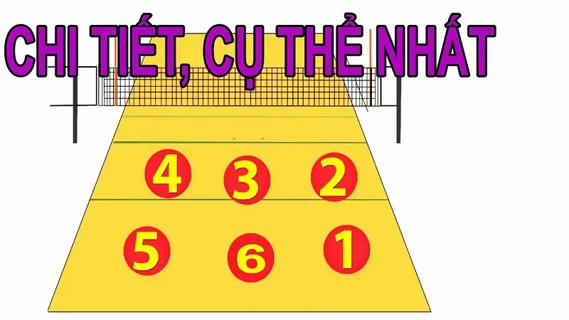 Đội hình người tham gia đấu bóng chuyền thì gọi là gì, minh họa các vị trí trên sân