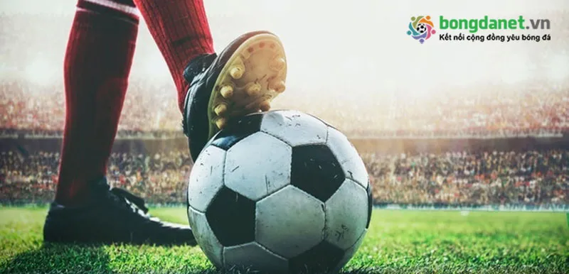 Dự đoán bóng đá của nhiều giải đấu trên thế giới