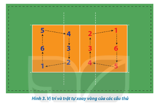 Giải Thích Chi Tiết Luật Xoay Vòng Vị Trí Trong Bóng Chuyền