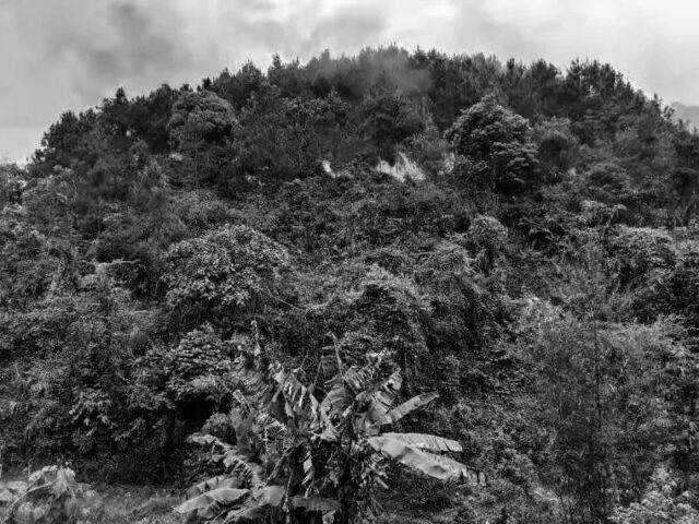 Tỷ Lệ Kèo 123 Là Gì Và Cách Đọc Hiệu Quả Cho Người Mới