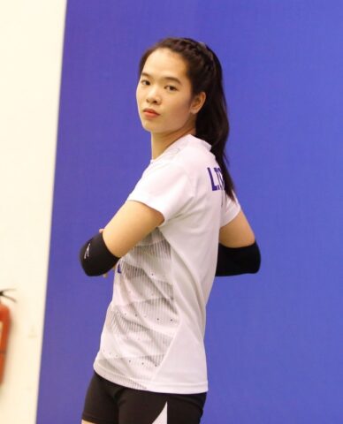 Hoa Khôi Bóng Chuyền VTV Cup 2014 Là Ai: Lê Thanh Thúy Và Dấu Ấn Tài Năng