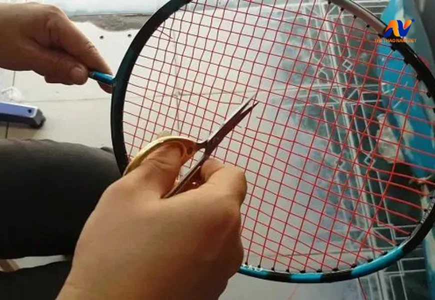 Những Yếu Tố Cần Lưu Ý Khi Căng Dây Vợt Tennis Để Có Hiệu Quả Tốt Nhất