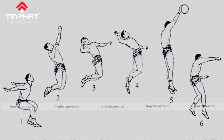 Cách Luyện Kỹ Năng Đập Bóng Uy Lực Cho Chủ Công Hiệu Quả Cách Luyện Kỹ Năng Đập Bóng Uy Lực Cho Chủ Công Hiệu Quả