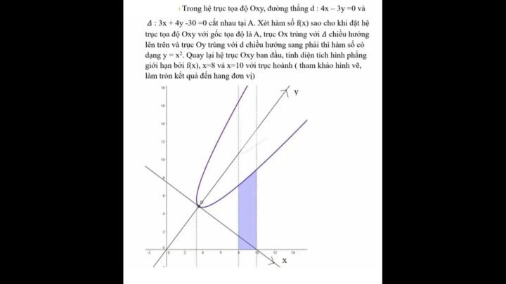 Đường Bay Của Bóng Rổ Là Đường Parabol: Khoa Học Và Kỹ Thuật Ném