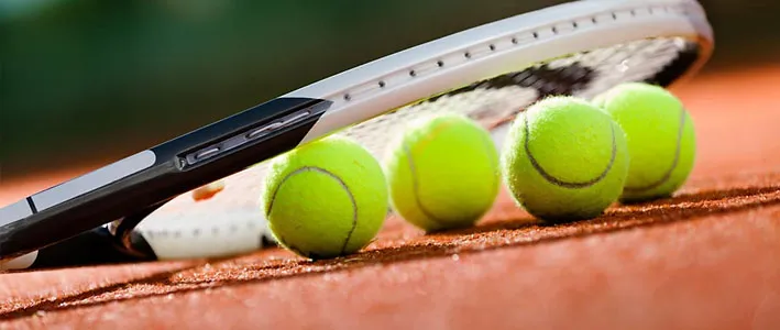 Vợt Tennis Tiếng Anh Là Gì: Từ Điển Thuật Ngữ Chuyên Sâu