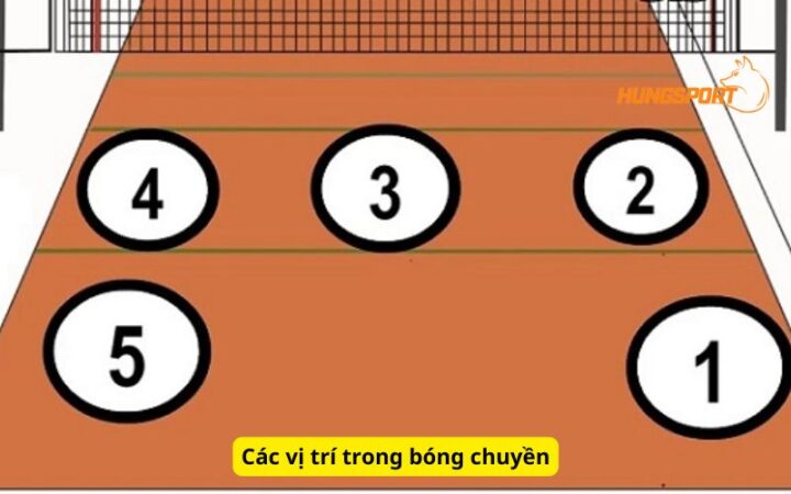 Chiến Lược Thi Đấu Dài Hơi Cho Các Giải Bóng Chuyền Chuyên Nghiệp Chiến Lược Thi Đấu Dài Hơi Cho Các Giải Bóng Chuyền Chuyên Nghiệp