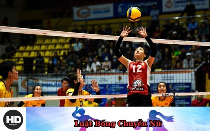 Cách Trọng Tài Xử Lý Lỗi Chắn Lưới Trong Bóng Chuyền Chuẩn Xác Nhất