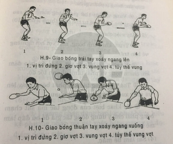 Góc Bắn Vợt Bóng Bàn Là Gì? Giải Mã Yếu Tố Quyết Định Đường Đi Của Bóng