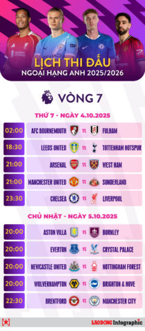 Vòng Đấu 7 Trận Bóng Rổ Là Gì: Giải Mã Thể Thức Playoff Quyết Định