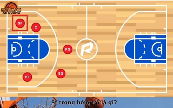 SF Là Gì Trong Bóng Rổ: Định Nghĩa, Vai Trò Và Kỹ Năng Của Tiền Phong Phụ