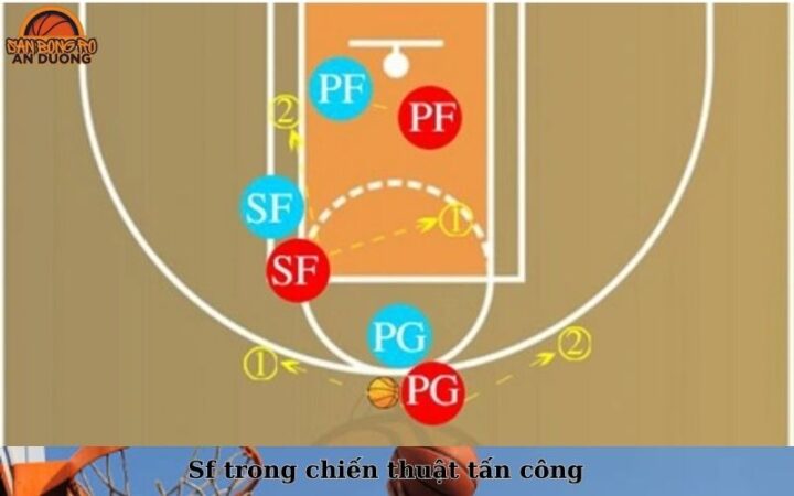 SF Là Gì Trong Bóng Rổ: Định Nghĩa, Vai Trò Và Kỹ Năng Của Tiền Phong Phụ