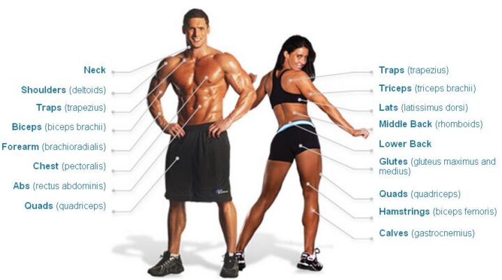 Cách Quản Lý Khối Lượng Tập Luyện Trong Tuần Hiệu Quả Nhất