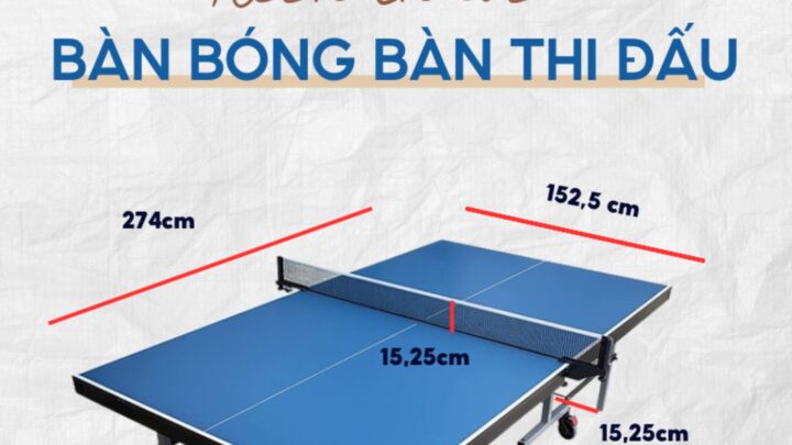 Quy Định Kích Thước Bàn, Lưới, Bóng Trong Luật Bóng Bàn Quốc Tế