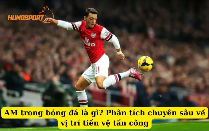 am trong bóng đá là gì: Phân tích chuyên sâu về vị trí tiền vệ tấn công
