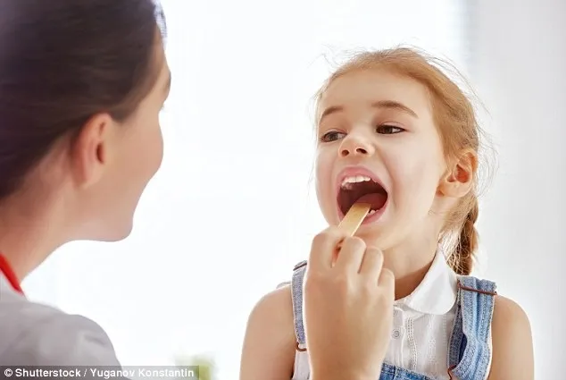 Cấu trúc vòng Waldeyer, thể hiện vai trò miễn dịch của amidan trong cổ họng