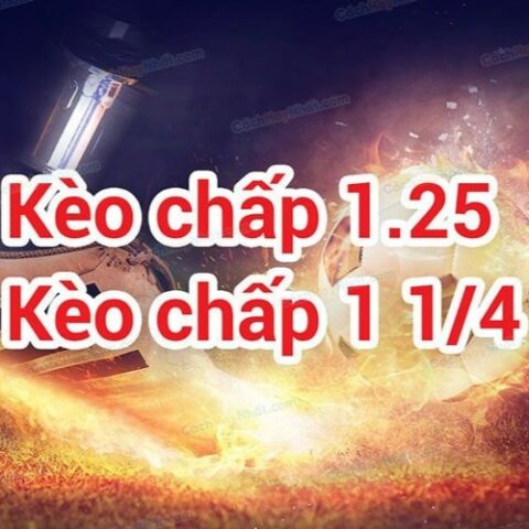 Kèo 1 4 Là Gì? Giải Thích Tỷ Lệ Cược Châu Á Chi Tiết Nhất