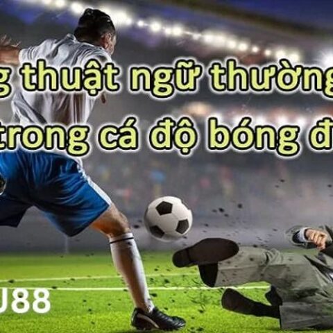 Thuật Ngữ Trong Cá Độ Bóng Đá Là Gì: Giải Mã Từ A-Z Cho Người Mới Thuật Ngữ Trong Cá Độ Bóng Đá Là Gì: Giải Mã Từ A-Z Cho Người Mới