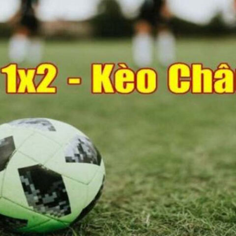 Kèo 1x2 Là Gì? Toàn Tập Về Cá Cược Châu Âu Cho Người Mới