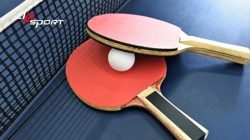 Thiết bị bóng bàn cơ bản và nâng cao cho vận động viên bóng bàn