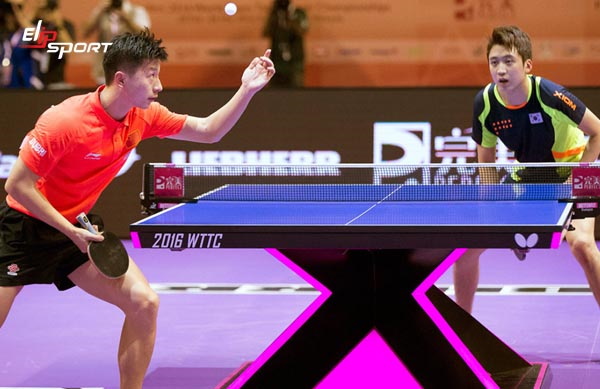 Play Table Tennis Là Gì? Khám Phá Toàn Diện Môn Thể Thao Tốc Độ