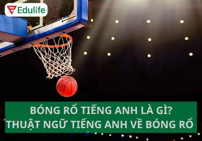 Bóng Rổ Tiếng Anh Việt Là Gì: Khái Niệm, Lợi Ích Và Phát Triển Toàn Diện