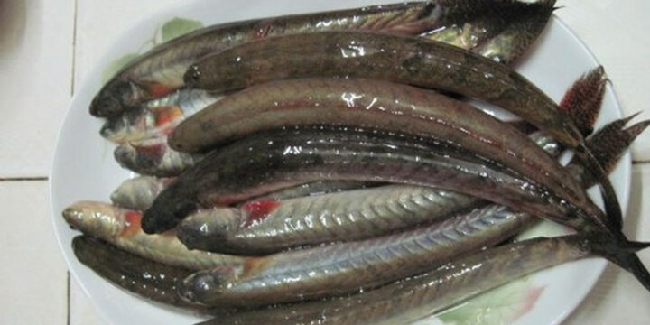 Kèo Tiếng Anh Là Gì? Giải Mã Từ Vựng Về Thỏa Thuận