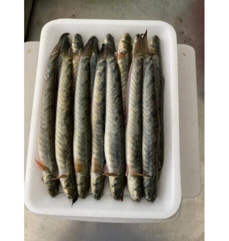 Kèo Tiếng Anh Là Gì? Giải Mã Từ Vựng Về Thỏa Thuận