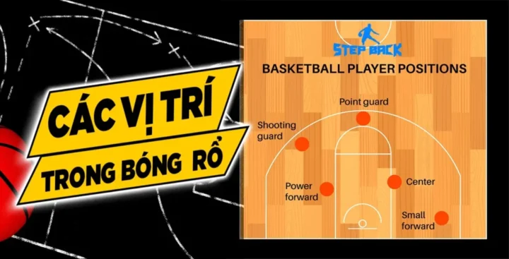 Vị Trí PG Là Gì Bóng Rổ: Giải Mã Vai Trò Nhạc Trưởng Trong Sân Đấu