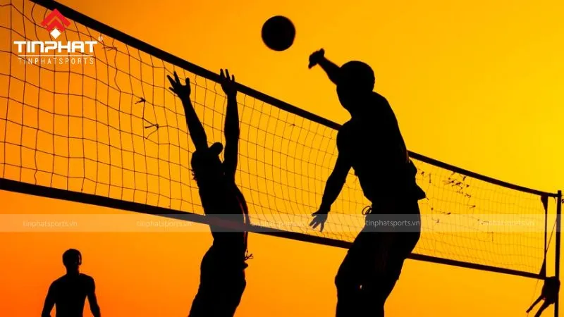 Sơ đồ kích thước sân và lưới bóng chuyền hơi chuẩn quy định