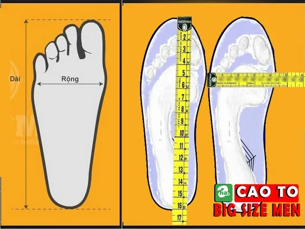 Hướng dẫn cách đo chân để tìm đôi giày bóng rổ phù hợp, đảm bảo sự thoải mái và phong cách