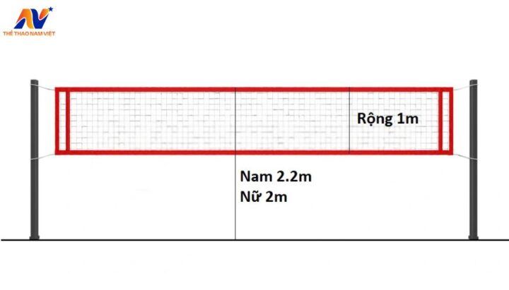 Chiều Cao Lưới Bóng Bàn Là Bao Nhiêu Theo Quy Định Chuẩn Quốc Tế