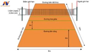 Chiều Cao Lưới Bóng Bàn Là Bao Nhiêu Theo Quy Định Chuẩn Quốc Tế