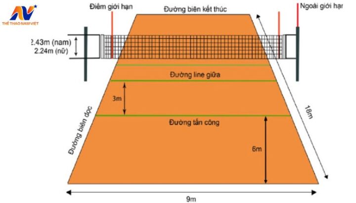 Chiều Cao Lưới Bóng Bàn Là Bao Nhiêu Theo Quy Định Chuẩn Quốc Tế