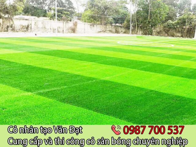 Quy trình thi công sân bóng đá cỏ nhân tạo chi tiết chuyên nghiệp