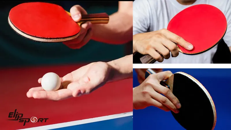 Cú đánh FH và BH trong bóng bàn