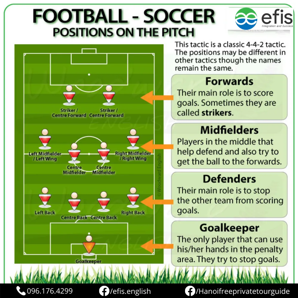 Các cầu thủ phòng ngự trên sân bóng