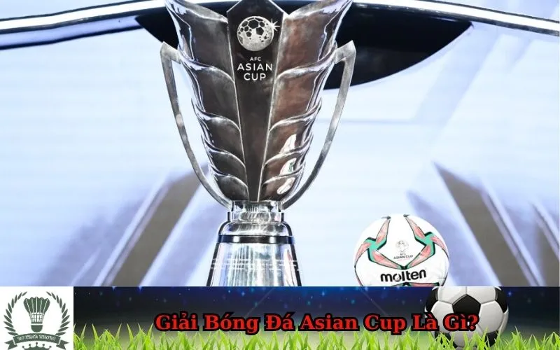 Hình ảnh tổng quan về giải bóng đá Asian Cup là gì, biểu tượng của bóng đá châu Á