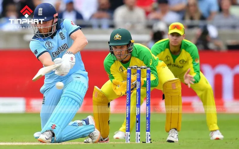 Hình ảnh minh họa môn Cricket, nguồn gốc của khái niệm hattrick