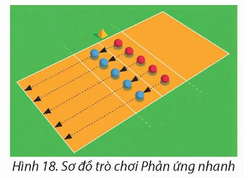 Trò chơi phản ứng nhanh giúp học sinh phát triển tốc độ và sự nhanh nhẹn