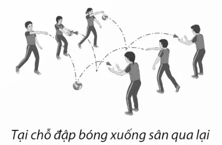 Hoạt động tập luyện kỹ năng chuyền bóng cơ bản cho học sinh