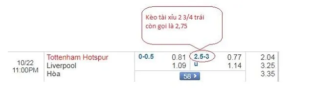 Phân tích chi tiết các trường hợp thắng thua khi đặt cược kèo chấp 2 1 4 là sao.