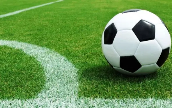 Biểu đồ thể hiện cách đọc và tính toán kèo chấp 2 1 4 là sao trong cá độ bóng đá trực tuyến.