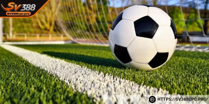 Hướng dẫn cách tính kèo chấp 1/4 chi tiết