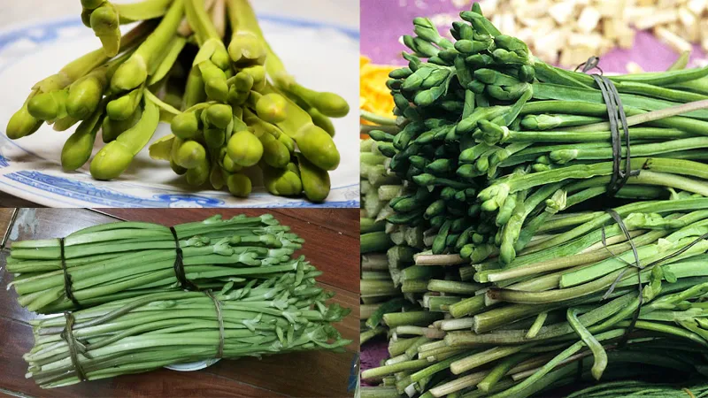 Từ kèo nèo có thể chế biến được nhiều bài thuốc hay.