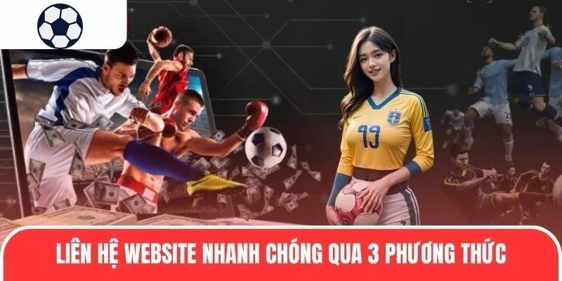 Liên hệ website nhanh chóng qua 3 phương thức