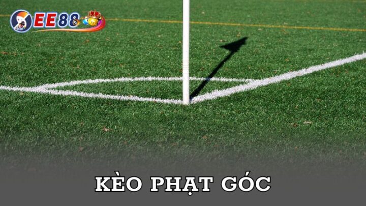 Kèo 3.5 4 Là Gì: Giải Mã Tỷ Lệ Cược Chấp Trong Bóng Đá