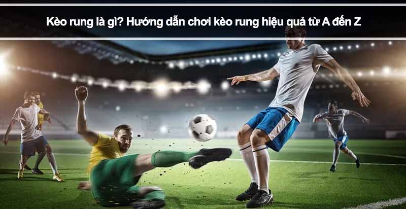 Rung Trong Cá Độ Bóng Đá Là Gì? Hướng Dẫn Chi Tiết Từ A Đến Z