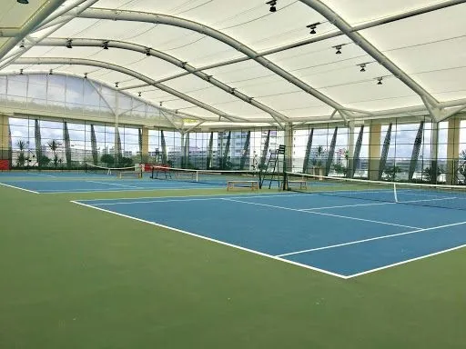 Chiều Cao Tiêu Chuẩn Của Lưới Bóng Chuyền Nam Và Nữ