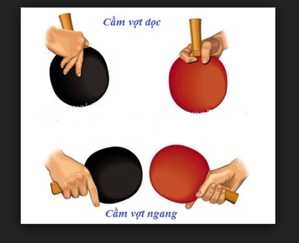 Góc Bắn Vợt Bóng Bàn Là Gì? Giải Mã Yếu Tố Quyết Định Đường Đi Của Bóng